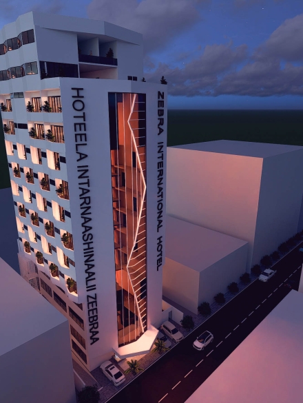 ZEBRA HOTEL 3D_ (3)